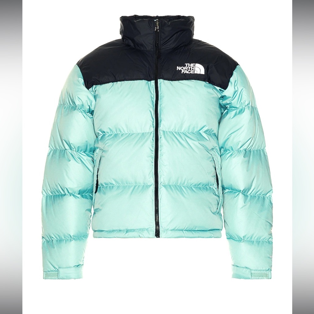 The North Face 1996 Retro Nuptse 700-Down Insulated Jacket Color Wasabi - Picture 14 of 16